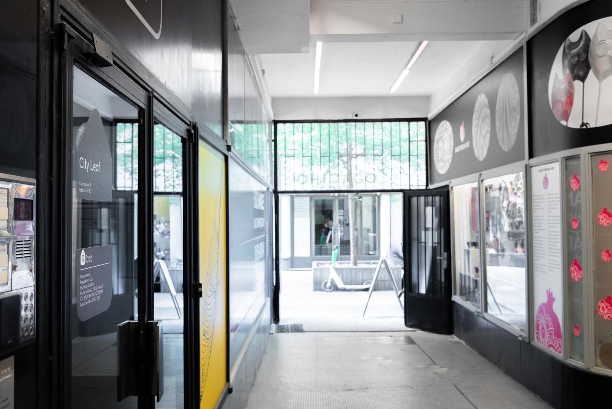 City Leaf Apartments — Photos 1